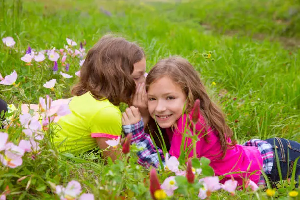 happy twin sister girls playing whispering ear on spring flowers meadow