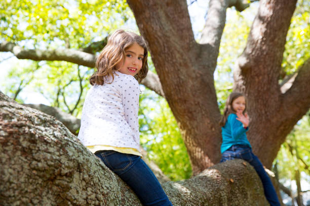 istock kid children girls playing riding a tree branch 1345834329