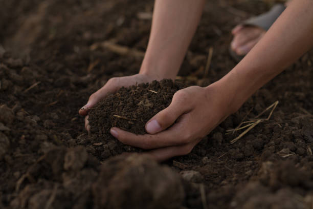 istock Soil in hand of farmer 1345836816
