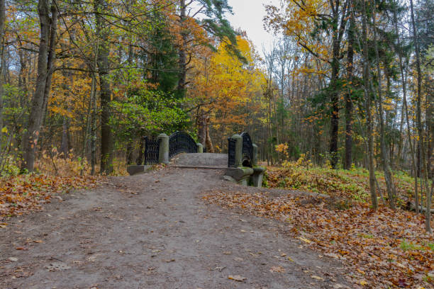 istock Cloudy autumn day in Sergievka Park 1345837313