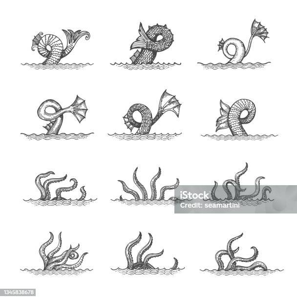 Sketch Octopus Tentacles Monster Kraken Tail Palps Stock Illustration - Download Image Now - Map, Sea, Octopus