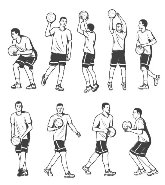 Vector illustration of Basketball player in different poses with ball