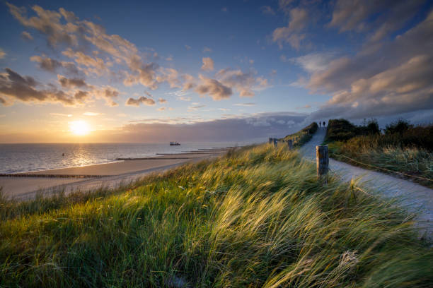 sunset at the beach near the village of Zoutelande on the coast of the province Zeeland two people walking along the coastal path at sunset at the Zeeland coast near Zoutelande, North Sea beauty in nature stock pictures, royalty-free photos & images