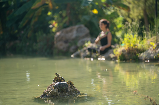 Photo of adult woman wearing black yoga pants sitting next to small pond and meditating for yoga exercises. She is sitting in lotus position. Turtles are seen on a rock in the middle of pond. Shot in outdoor daylight with a full frame mirrorless camera.