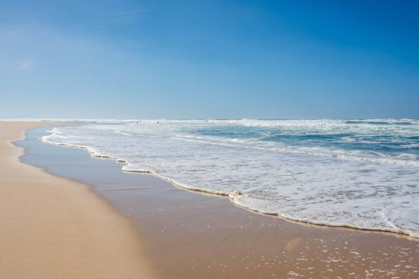 istock wave foam at the edge of a lagoon 1345842094