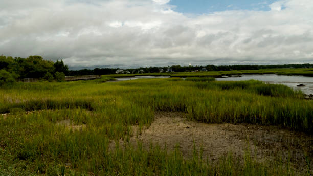 istock Cherry Grove North Myrtle Beach Marsh at Heritage Preserve 1345842371