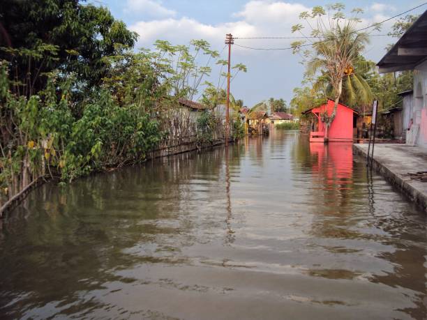 istock flood in 2010 in Tualango Village, Gorontalo 1345842714