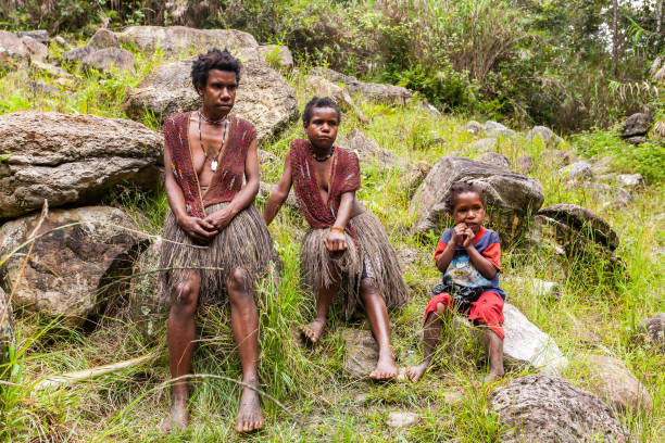 People of the Dani tribe sitting on the big stone, Indonesian New Guinea, Wamena, Indonesia Wamena, Indonesia - January 10, 2010: People of the Dani tribe sitting on the big stone. Baliem Valley Papua, Irian Jaya, Indonesian New Guinea dani stock pictures, royalty-free photos & images