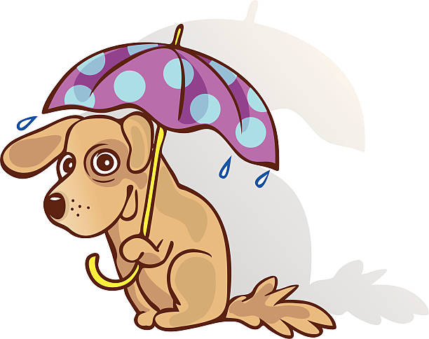 забавный собака под зонтик. методы защиты. guessed. - cartoon umbrella dog care stock illustrations