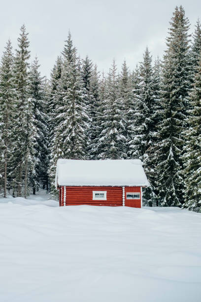 istock Red log cabin in the snowy forest 1345846325