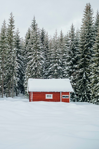 Red cottage made of logs in wintertimes. Winter wonderland in the taiga forest. Trysil, Norway.