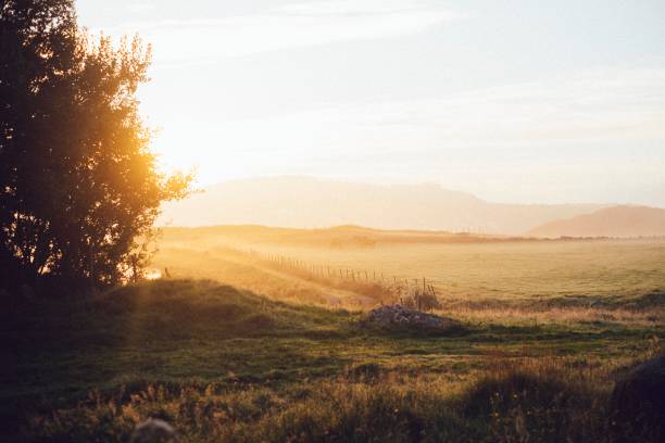 Golden sunrise over a calm soft meadow, Stavanger, Norway.