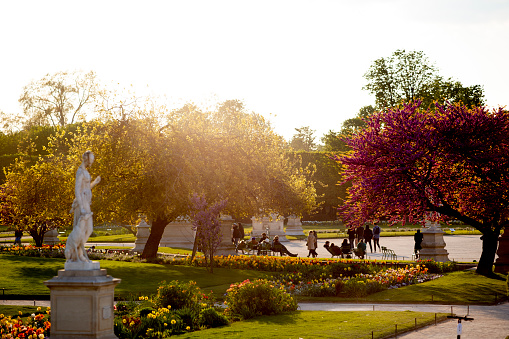 Sunset light at Tuileries in Paris, France.