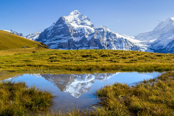 アルプス山脈の峰ウェッターホルンとグリンデルヴァルトの第一高原に対する反射 - switzerland european alps schreckhorn horizontal ストックフォトと画像