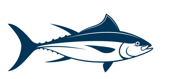 sylwetka tuńczyka na białym tle - yellowfin tuna obrazy stock illustrations