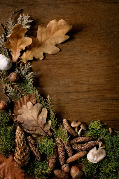 istock Fairy tale ambiance magic autumnal forest background 1345855008
