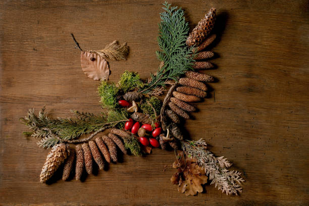 Fairy tale ambiance magic autumnal bird shape