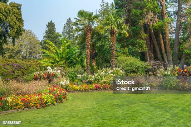 Park Garden Cluster 7 Stock Photo - Download Image Now - Point Defiance Park, Color Image, Flower
