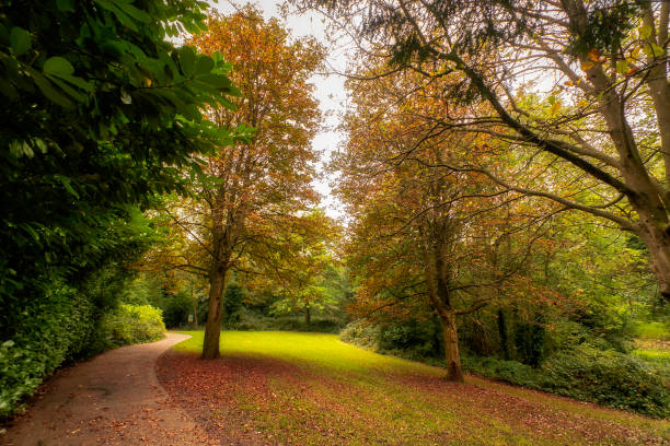 istock Autumn in the park 1345857121