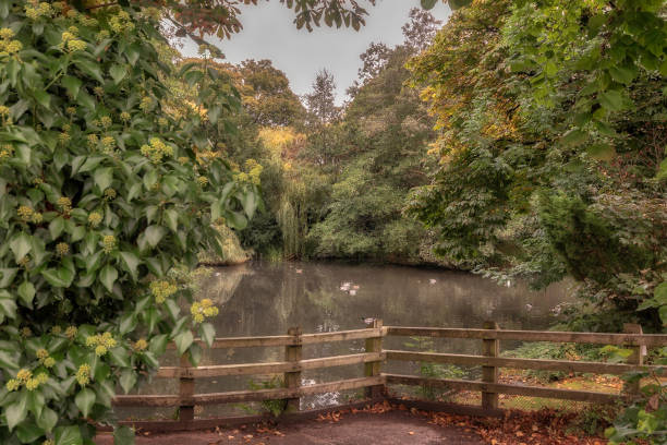 istock Autumn in the park 1345857134