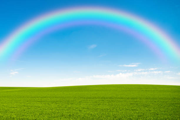 istock A green landscape with a rainbow in the sky 1345857818