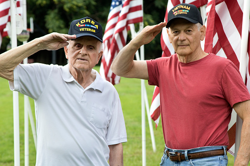 American war Veterans standing amongst flag memorial in a field.