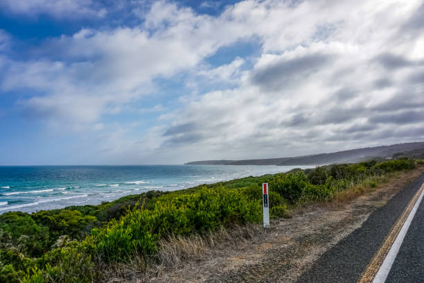 istock View over plants to the beach and ocean in Australia. 1345862720