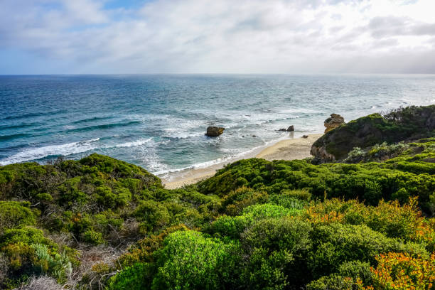 istock View over plants to the beach and ocean in Australia. 1345863426