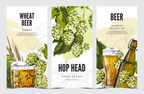 Craft hop and wheat beer brewery banners hand drawn vector illustration. Craft hop and wheat, barley natural beer brewery banners, hand drawn vector illustration. Banners or posters set for beer advertising and drink labels. brewery stock illustrations
