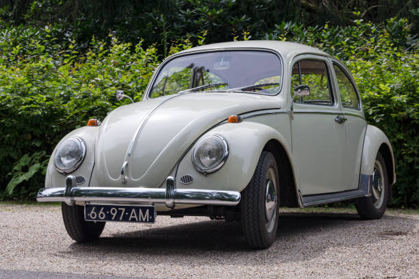 white 1965 volkswagen beetle '113' parked in a non-urban area - beetle imagens e fotografias de stock