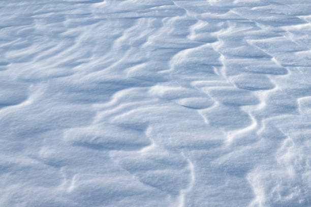 istock Snow texture. White winter fresh snowflakes background in blue tone 1345864876