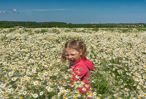 A girl walking in a huge field with blooming field daisies.