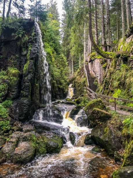 istock A river with waterfalls through the Black Forest in Germany. 1345866189
