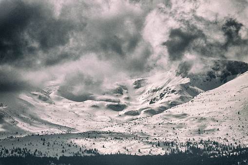 Christmas landscape with falling snow. Caucasus Mountains in evening, Georgia, region Gudauri. Black and white toned landscape. High contrast.