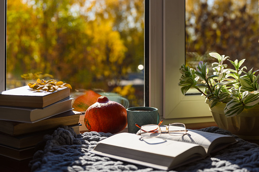 A cozy place to read your favorite book on an autumn day. An open book, tea, a home flower, a pumpkin, a woolen blanket near the window overlooking the autumn trees. Selective focus on tea