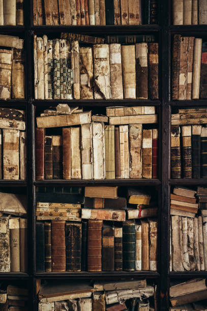 Wooden bookshelf full with old books
