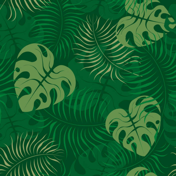 seamless floral pattern with palm leaves and monstera seamless floral pattern with palm leaves and monstera jungle leaf pattern stock illustrations