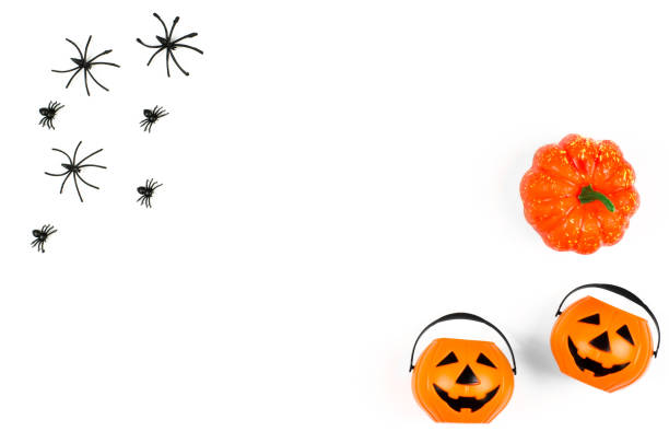 istock Halloween party. Decorations for halloween on a white background, copy space. Pumpkins and spiders on a white background, top view, flat lay. 1345869154