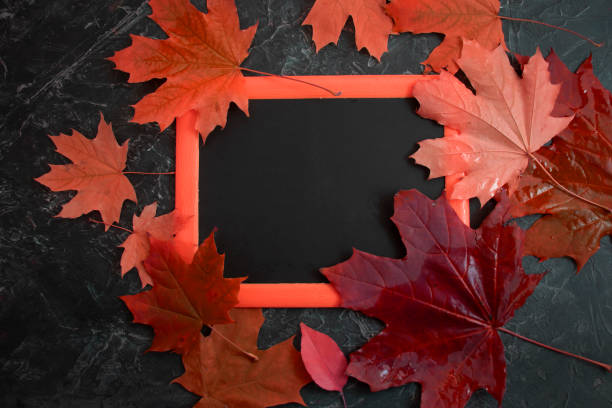 istock autumn leaves on concrete background 1345869832