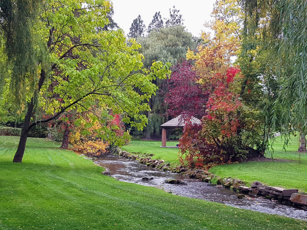istock Multi Colored Autumn In Polson Park Vernon BC 1345871248