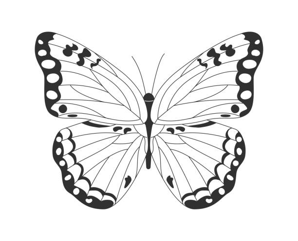 Icon with insect Icon with insect. Butterfly with long wings with patterns in form of thin line and spot. Template for sticker, poster and social network. Cartoon flat vector illustration isolated on white background simple butterfly outline pictures stock illustrations