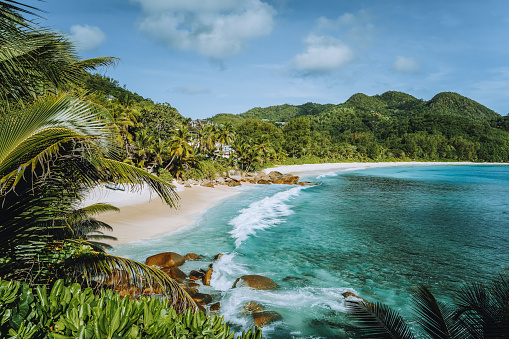 Isla Mahe, Seychelles. Vocación de vacaciones en la hermosa y exótica playa tropical de Anse Intendance. Ola del océano rodando hacia la playa de arena con palmeras de coco photo