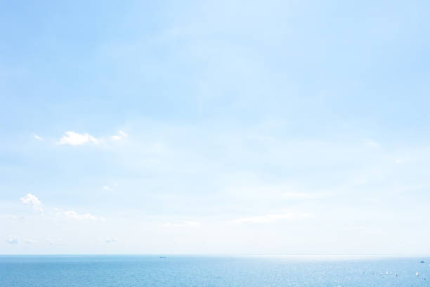 silver birch beach, toronto, canada - blue sky bildbanksfoton och bilder