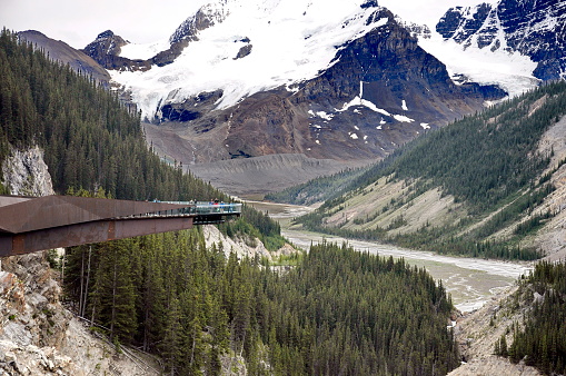 View from the Skywalk in Jasper National Park during the summer, with views of the surrounding mountains and river.