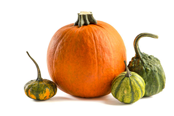 istock Pumpkin on a white background. Decorative pumpkin isolated halloween isolate on white to insert into your project or design. Three orange pumpkins stacked in a pile cast a shadow 1345877731