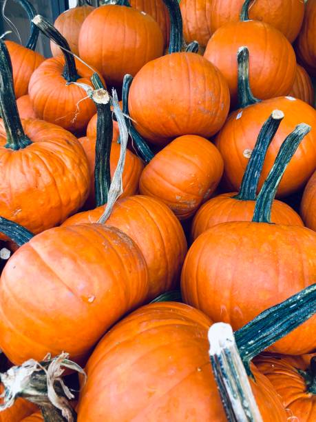 istock A Pile of Pumpkins 1345887955