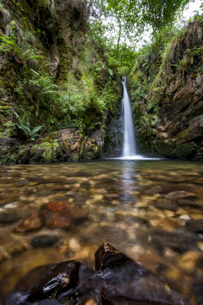 istock a small crystalline waterfall in a lush forest, long exposure with wet rocks in the foreground and silk effect 1345890907