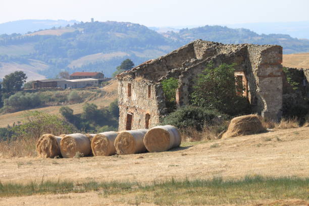 istock Old crumbling farmhouse in Tuscany 1345896144