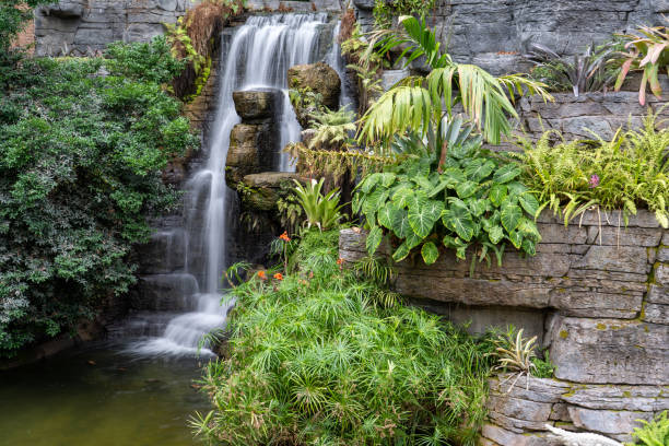 istock Low View of Waterfall over Rock Formation and Foliage 1345896280