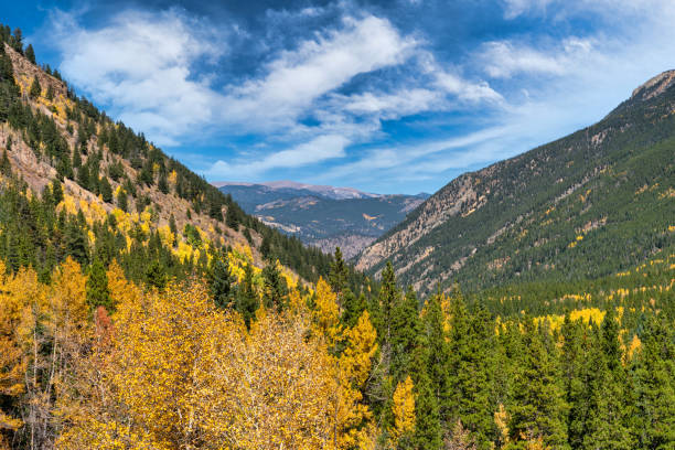 istock Autumn leaf colors in Colorado 1345912569